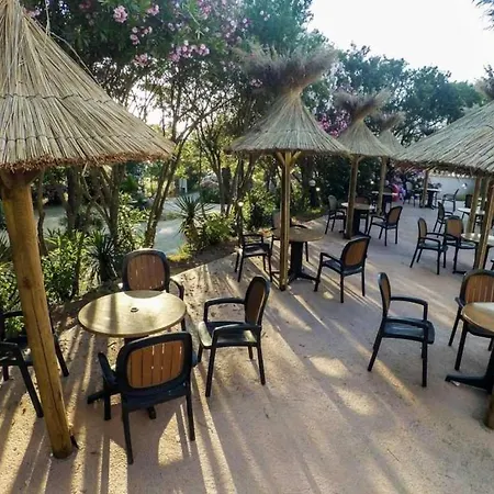 Zecamping 3 Etoiles A 1km De La Piscine Jacuzzi Animaux Acceptes *