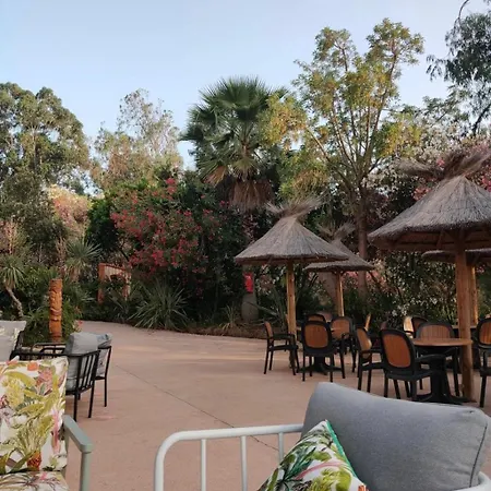 3 Etoiles - Piscine - Ccb0fdc شاليه Viggianello