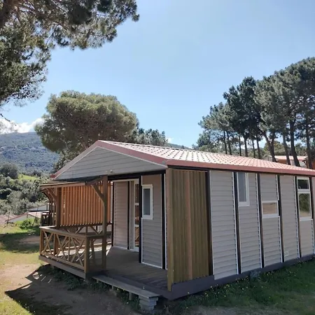 Zecamping 3 Etoiles A 1km De La Piscine Jacuzzi Animaux Acceptes * Viggianello