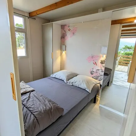 Chalet Zecamping 3 Etoiles A 1km De La Piscine Jacuzzi Animaux Acceptes