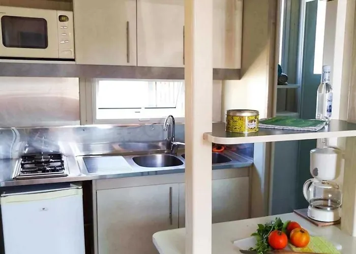 Zecamping 3 Etoiles A 1km De La Piscine Jacuzzi Animaux Acceptes