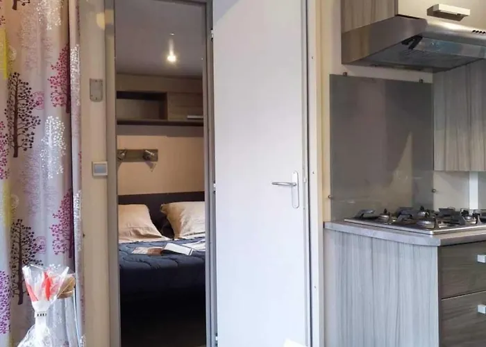 Zecamping 3 Etoiles A 1km De La Piscine Jacuzzi Animaux Acceptes *