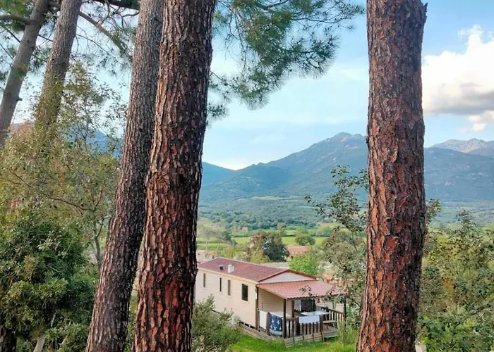 Chalet 3 étoiles - Piscine - Ccb0fdc