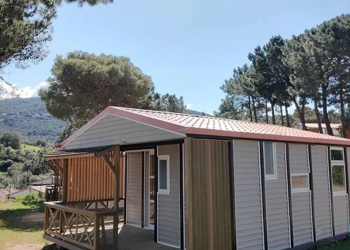 3 étoiles - Piscine - Ccb0fdc Chalet Viggianello