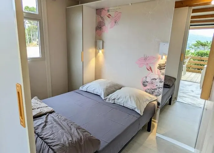 Zecamping 3 Etoiles A 1km De La Piscine Jacuzzi Animaux Acceptes * Viggianello