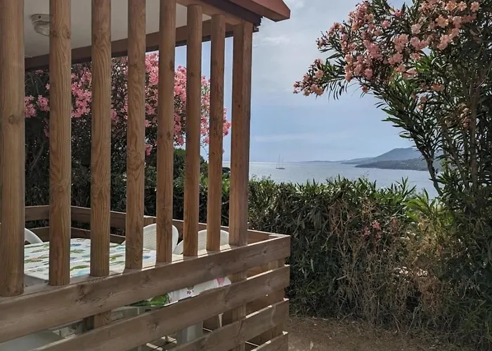 3 étoiles - Piscine - Ccb0fdc Viggianello