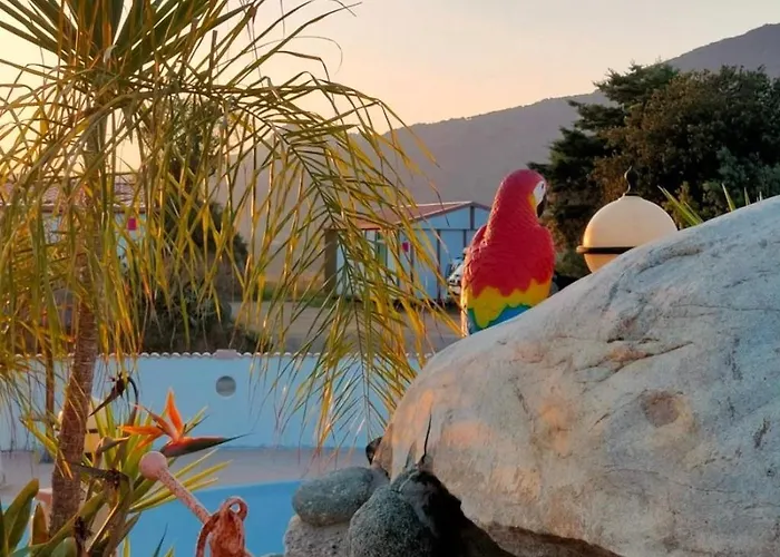 Zecamping 3 Etoiles A 1km De La Piscine Jacuzzi Animaux Acceptes Chalet